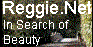 Reggie.Net